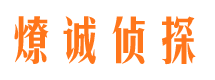 临桂商务调查